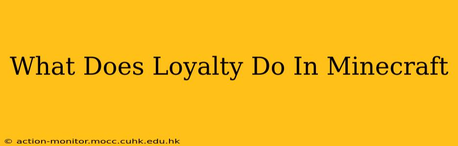 What Does Loyalty Do In Minecraft