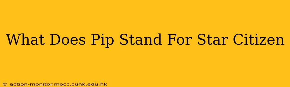 What Does Pip Stand For Star Citizen