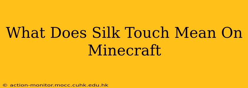 What Does Silk Touch Mean On Minecraft