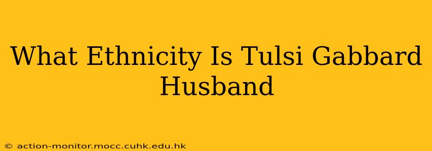 What Ethnicity Is Tulsi Gabbard Husband