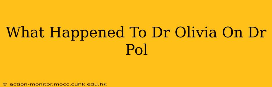 What Happened To Dr Olivia On Dr Pol