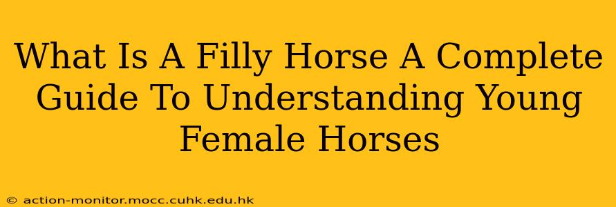 What Is A Filly Horse A Complete Guide To Understanding Young Female Horses