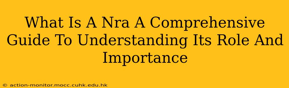 What Is A Nra A Comprehensive Guide To Understanding Its Role And Importance