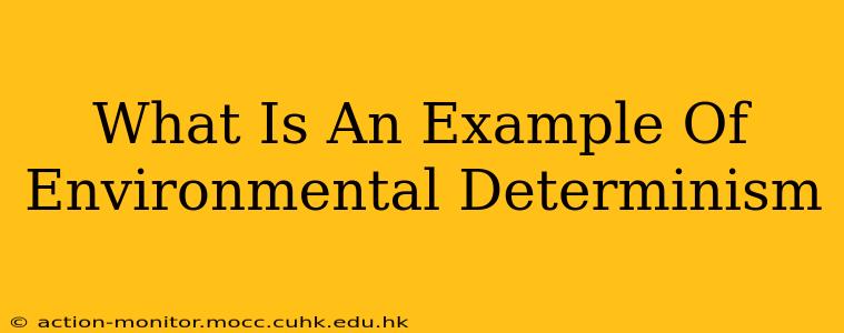 What Is An Example Of Environmental Determinism