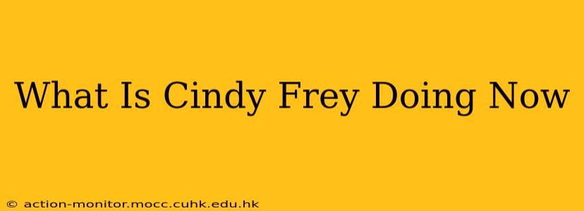 What Is Cindy Frey Doing Now
