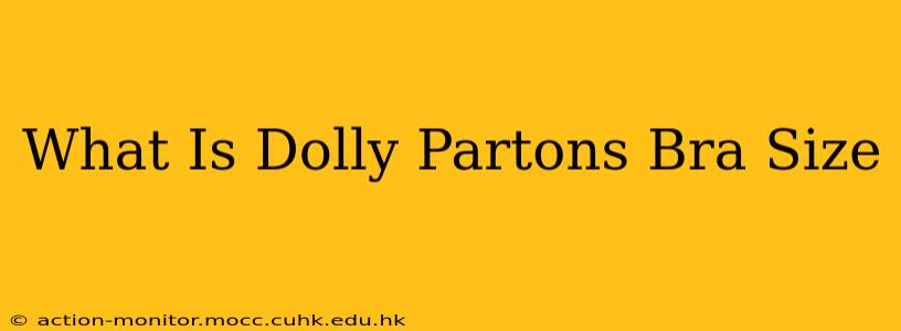 What Is Dolly Partons Bra Size