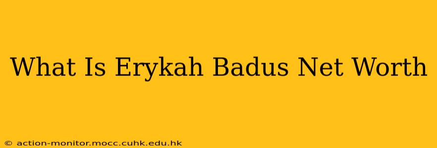What Is Erykah Badus Net Worth