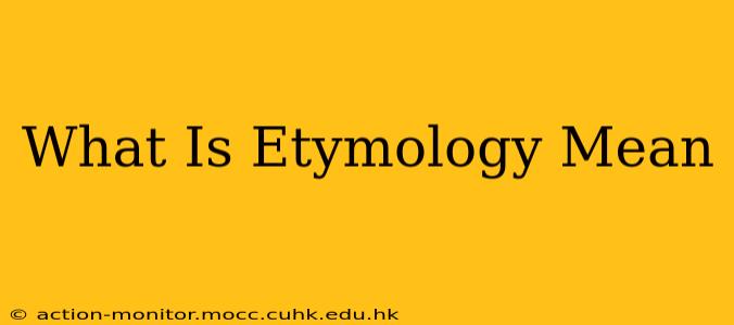 What Is Etymology Mean