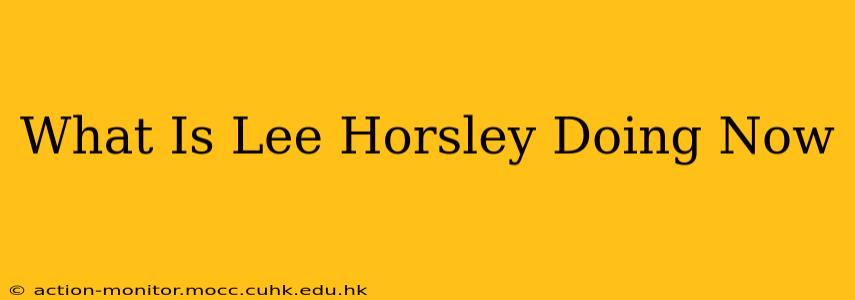 What Is Lee Horsley Doing Now