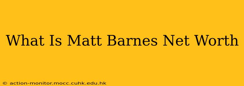 What Is Matt Barnes Net Worth