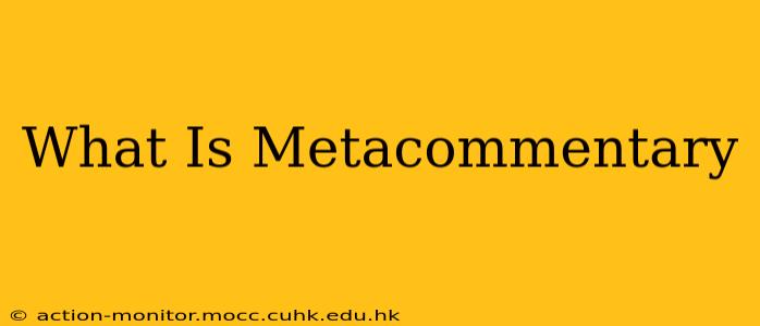 What Is Metacommentary