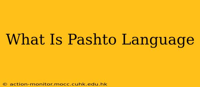 What Is Pashto Language