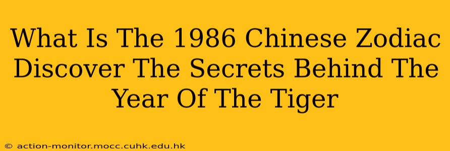 What Is The 1986 Chinese Zodiac Discover The Secrets Behind The Year Of The Tiger