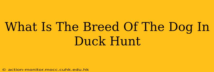 What Is The Breed Of The Dog In Duck Hunt
