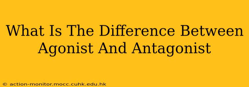 What Is The Difference Between Agonist And Antagonist