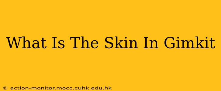 What Is The Skin In Gimkit