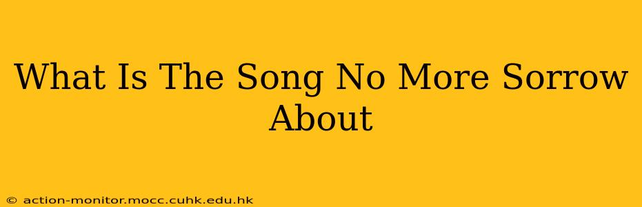 What Is The Song No More Sorrow About