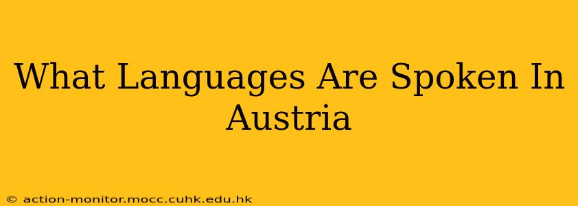 What Languages Are Spoken In Austria