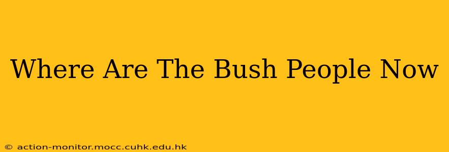 Where Are The Bush People Now