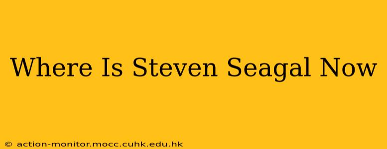 Where Is Steven Seagal Now