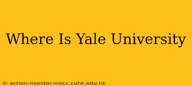 Where Is Yale University