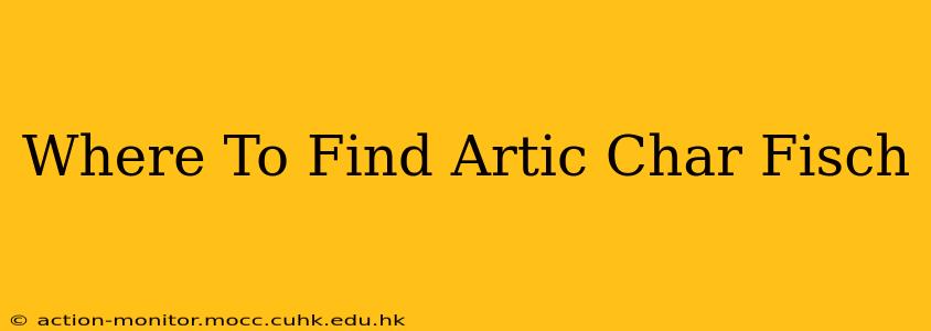 Where To Find Artic Char Fisch