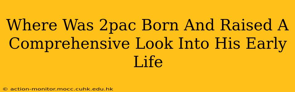 Where Was 2pac Born And Raised A Comprehensive Look Into His Early Life