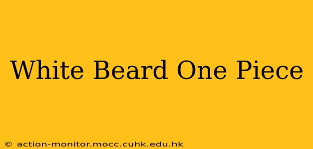White Beard One Piece