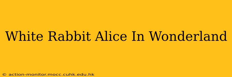 White Rabbit Alice In Wonderland