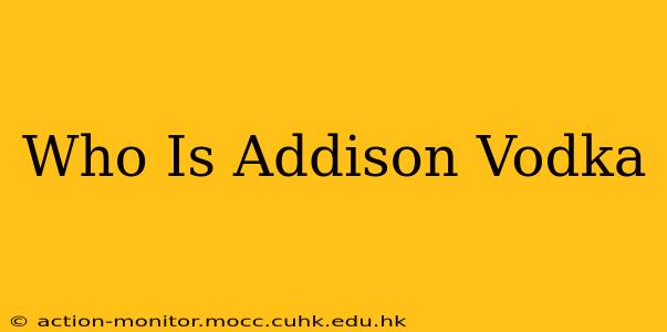 Who Is Addison Vodka