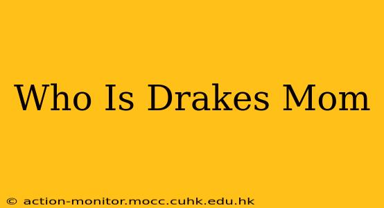 Who Is Drakes Mom