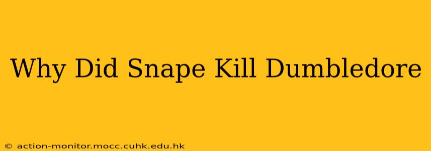 Why Did Snape Kill Dumbledore