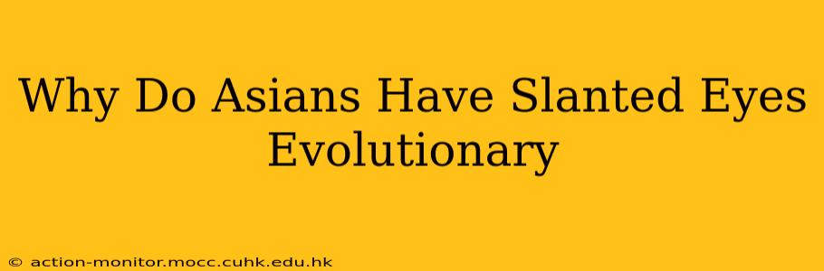 Why Do Asians Have Slanted Eyes Evolutionary