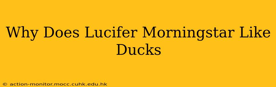 Why Does Lucifer Morningstar Like Ducks