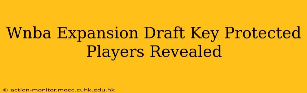Wnba Expansion Draft Key Protected Players Revealed