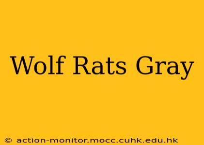 Wolf Rats Gray