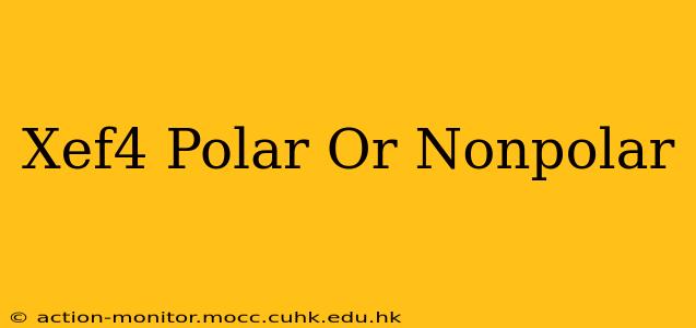 Xef4 Polar Or Nonpolar