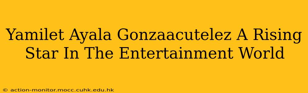 Yamilet Ayala Gonzaacutelez A Rising Star In The Entertainment World