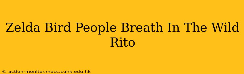 Zelda Bird People Breath In The Wild Rito