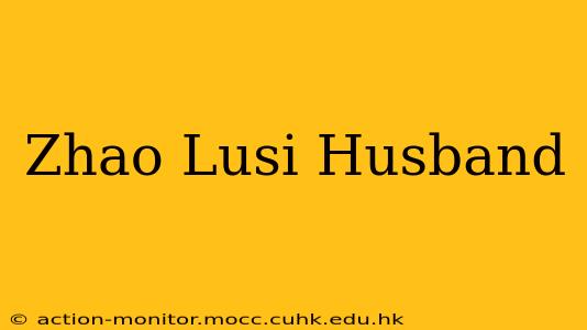 Zhao Lusi Husband