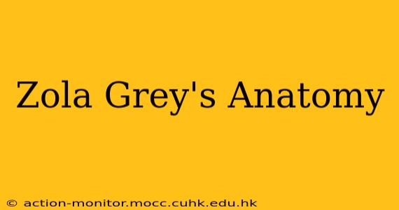 Zola Grey's Anatomy